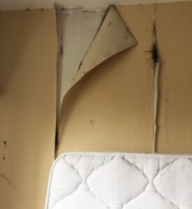 Traces d’infestation sur un matelas avant traitement