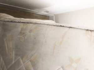 Punaises de lit dans les recoins d’une chambre
